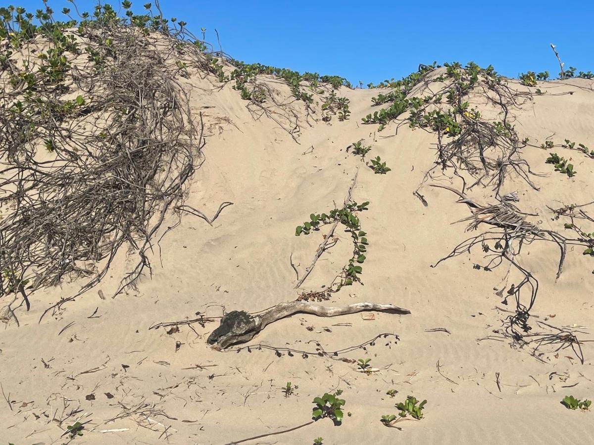 דירות פורט אדוארד Eden Wilds 72 מראה חיצוני תמונה
